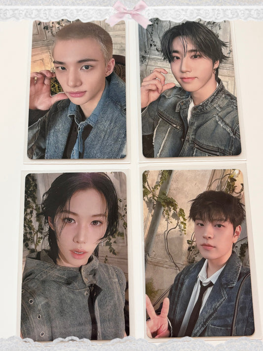 𝚂𝚝𝚛𝚊𝚢 𝙺𝚒𝚍𝚜 𝙷𝚘𝚕𝚕𝚘𝚠 (𝚂𝚑𝚒𝚣𝚞𝚘𝚔𝚊 - 𝚍𝚊𝚢 𝟺) 𝚙𝚑𝚘𝚝𝚘𝚌𝚊𝚛𝚍𝚜