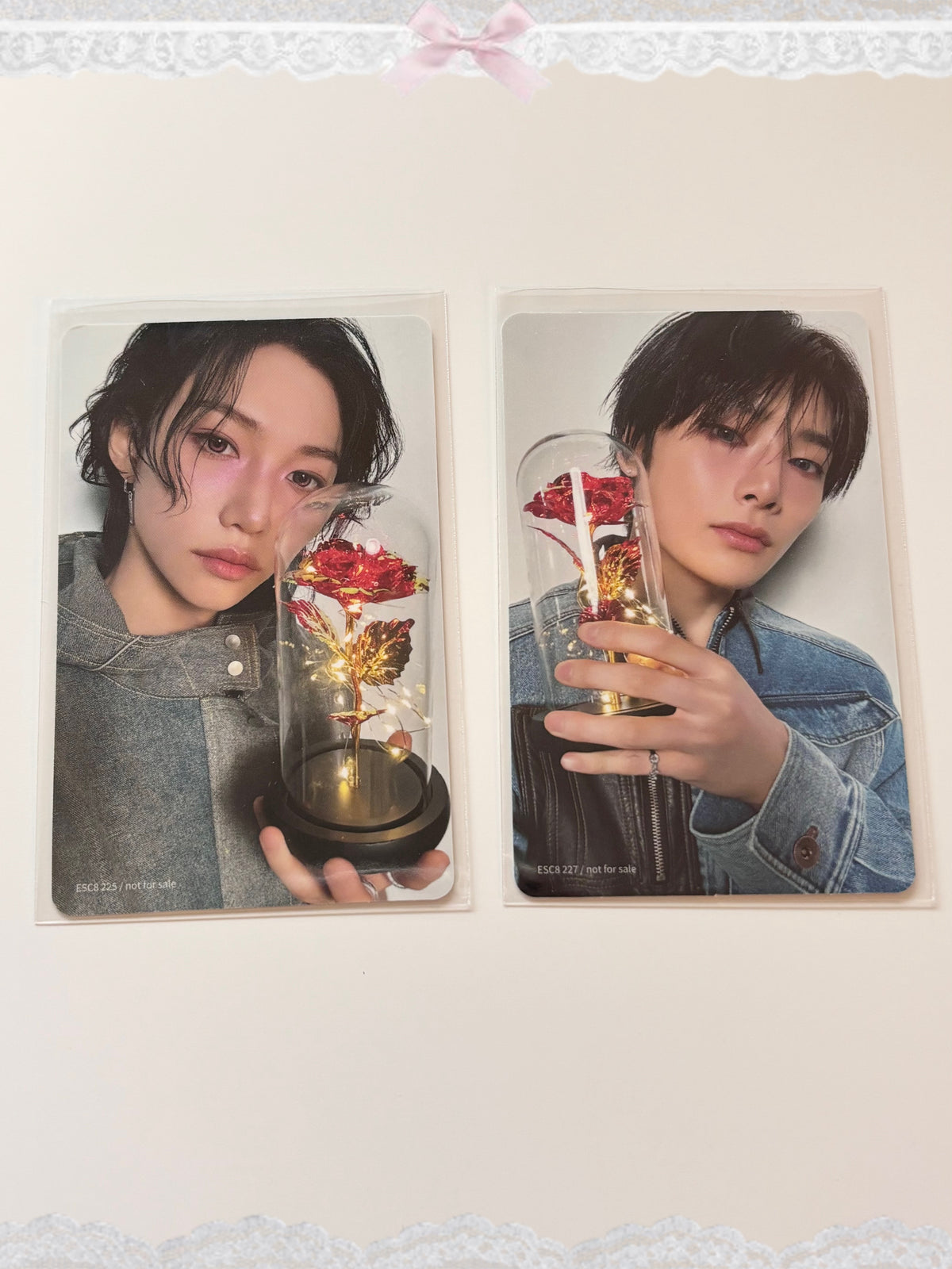 𝚂𝚝𝚛𝚊𝚢 𝙺𝚒𝚍𝚜 𝙷𝚘𝚕𝚕𝚘𝚠 (𝙹𝚊𝚙𝚊𝚗 𝚏𝚊𝚗𝚌𝚕𝚞𝚋 𝚟𝚎𝚛. 𝟷) 𝚙𝚑𝚘𝚝𝚘𝚌𝚊𝚛𝚍𝚜